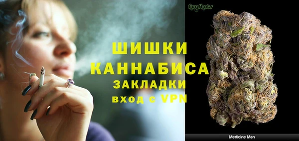 PSILOCYBIN Аркадак