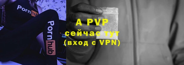 PSILOCYBIN Аркадак