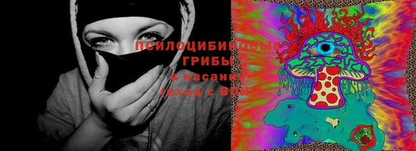 PSILOCYBIN Аркадак